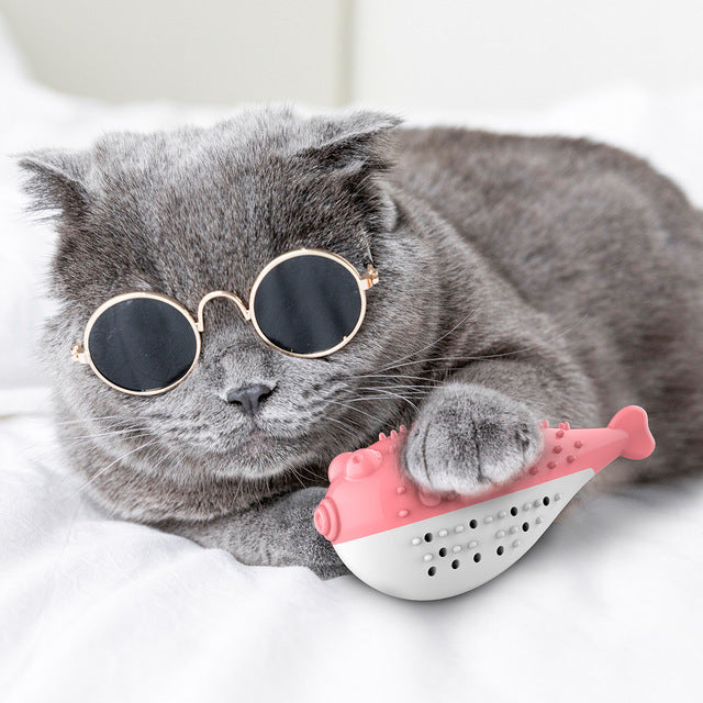 Cat Toys Interactive Fish Shape Cat Toothbrush Refillable Catnip Simulation Fish Toothbrush Cleaner Brushing Stick Pet Chew Toy