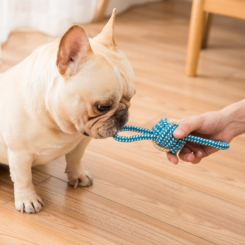 Washable Rope Dog Toy Bite Resistant Pet Dog Chew Toys for Small Dogs Cleaning Teeth Interactive Dogs Toys Pet Accessories
