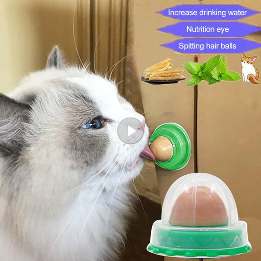 Healthy Nutrition Pet Snacks Cat Sugar Candy Licking Energy Ball Toy Gel Solid Cat Treats Natural Catnip Sucker For Cat Supplie