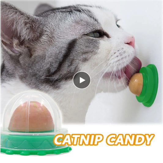 Nutrition Cat Catnip Ball Dust Cover Round Safe Catnip Snack Lick Candy Vitamin Pudding Catnip Lollipop For Cat Kitten Ragdoll