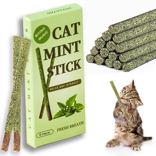 Cat Chew Toys 100% Natural Silvervine Catnip Toys Sticks Kittens Teeth Cleaning Safe Cat Stick Treat for Cats of All Ages