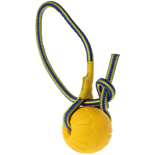 Pet Dog Training Toy Ball Dog Rubber Ball Chew Bite Resistant Toy With Rope(9Cm)