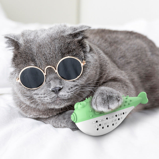 Cat Toys Interactive Fish Shape Cat Toothbrush Refillable Catnip Simulation Fish Toothbrush Cleaner Brushing Stick Pet Chew Toy