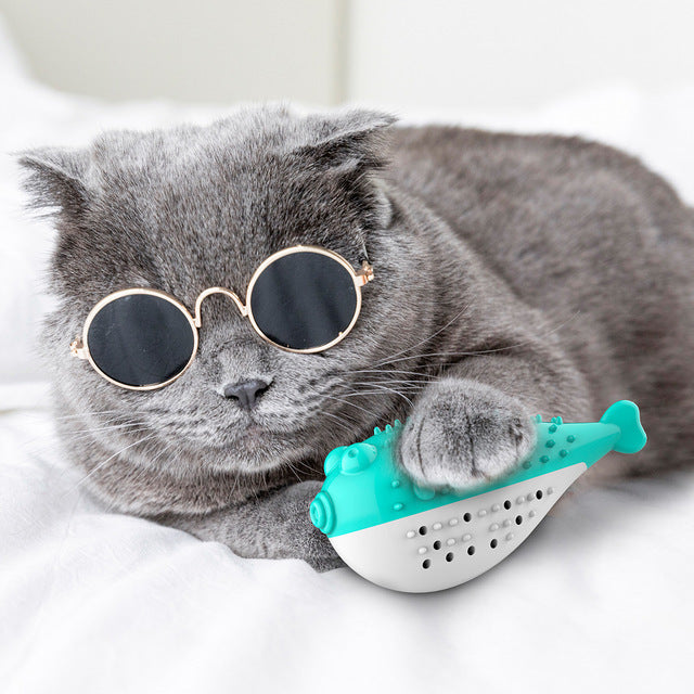 Cat Toys Interactive Fish Shape Cat Toothbrush Refillable Catnip Simulation Fish Toothbrush Cleaner Brushing Stick Pet Chew Toy