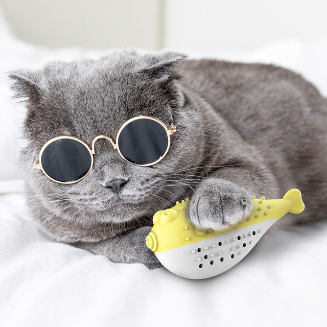 Cat Toys Interactive Fish Shape Cat Toothbrush Refillable Catnip Simulation Fish Toothbrush Cleaner Brushing Stick Pet Chew Toy